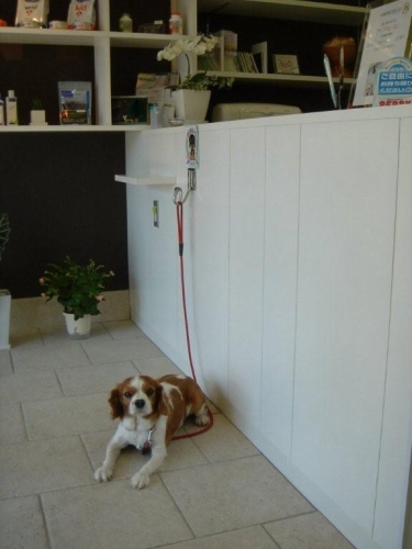 ペット係留フック ワンコパーク