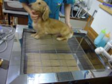 ステンレス製排水目皿